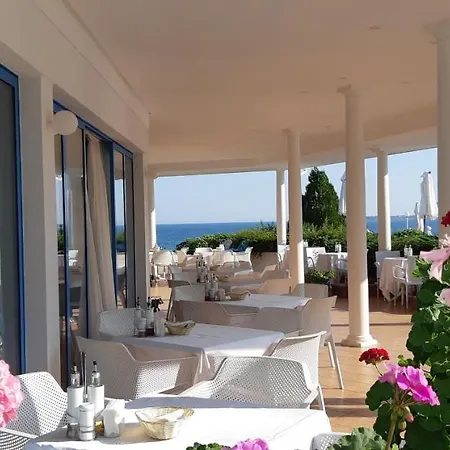 Отель Sineva 4*